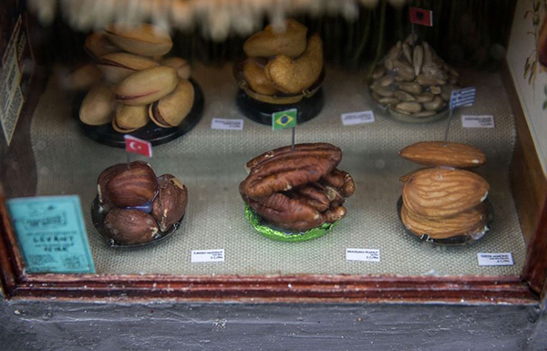 趣看｜瑞典的街角新开了一家迷你坚果铺，只有老鼠才能来作客