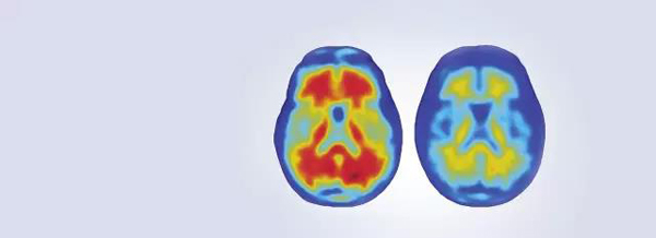 今年最受媒体关注的百强论文，奥巴马居首、中国学者参与5篇