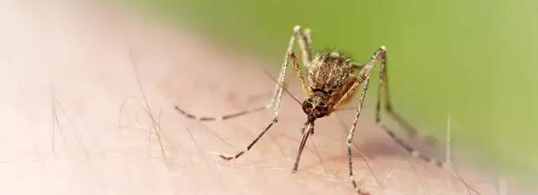 今年最受媒体关注的百强论文，奥巴马居首、中国学者参与5篇