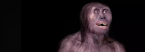 今年最受媒体关注的百强论文，奥巴马居首、中国学者参与5篇