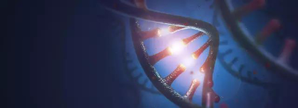 今年最受媒体关注的百强论文，奥巴马居首、中国学者参与5篇