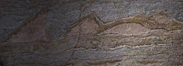 今年最受媒体关注的百强论文，奥巴马居首、中国学者参与5篇