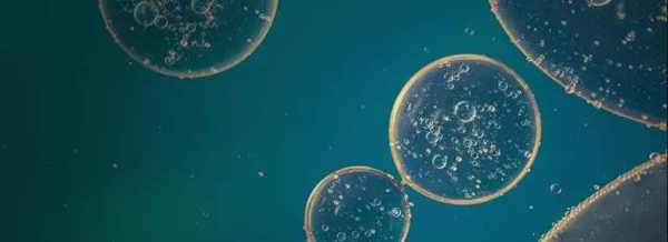 今年最受媒体关注的百强论文，奥巴马居首、中国学者参与5篇