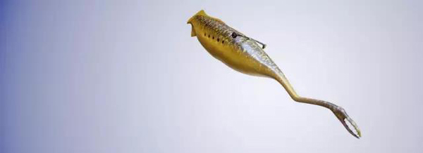 今年最受媒体关注的百强论文，奥巴马居首、中国学者参与5篇