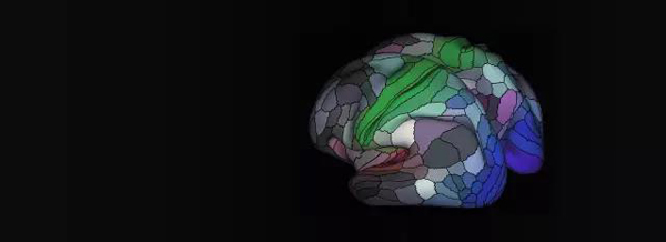 今年最受媒体关注的百强论文，奥巴马居首、中国学者参与5篇