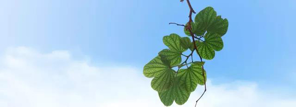 今年最受媒体关注的百强论文，奥巴马居首、中国学者参与5篇