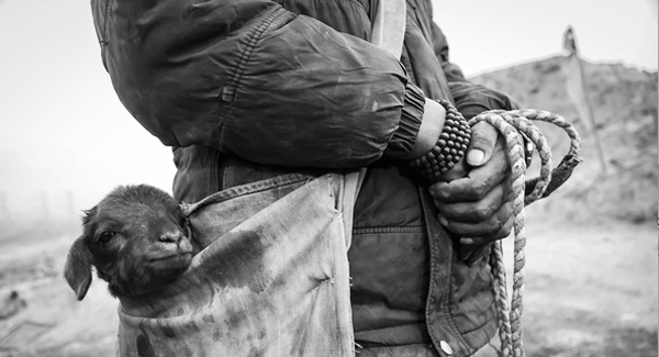 《塔洛》女主杨秀措：年轻藏族人的状态，没人比我更熟悉了