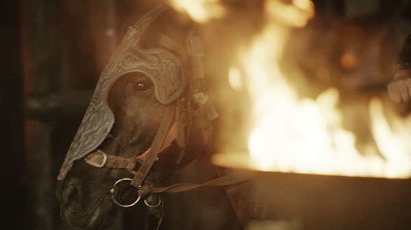 纪录片《广府春秋》：中国何以会有一个温润富庶的南方？