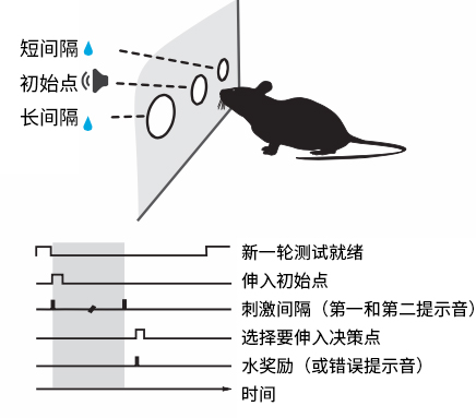 时间的脚步为什么时快时慢？