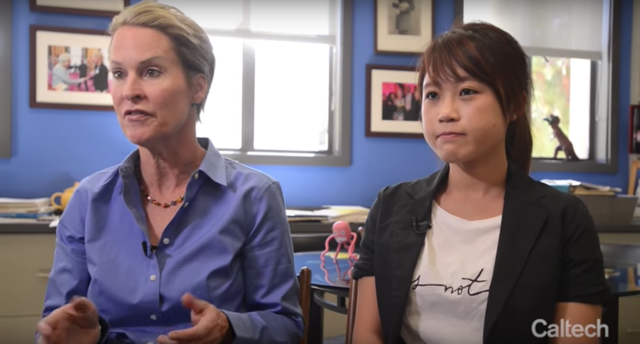 眼睛，鞭毛，有机硅：自然如何“无中生有”？