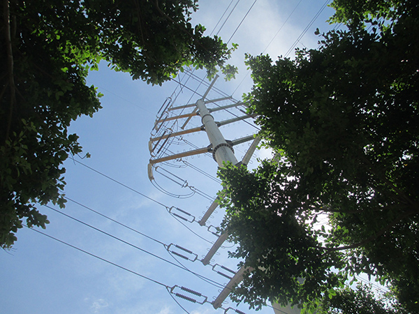 南方电网改革提速：社会资本参与增量配电网业务不设比例限制