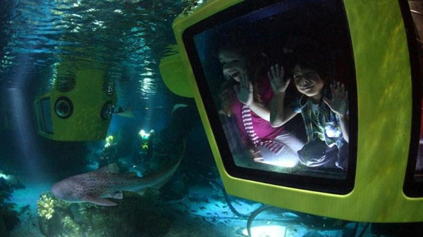 欢迎来乐高的积木王国