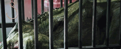 饕餮到底是种啥怪兽？