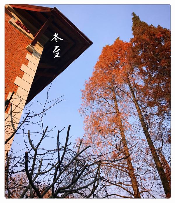 节气｜冬至大如年，艾灸助阳气