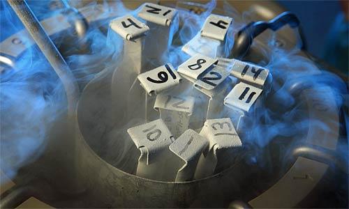 《探索与争鸣》｜冻卵能否成为大龄单身女性合法“后悔药”？