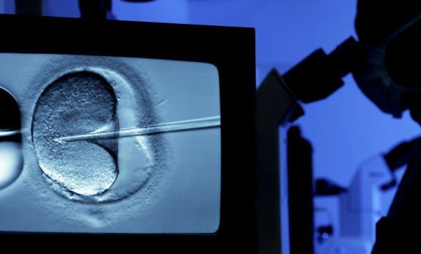 《探索与争鸣》｜冻卵能否成为大龄单身女性合法“后悔药”？