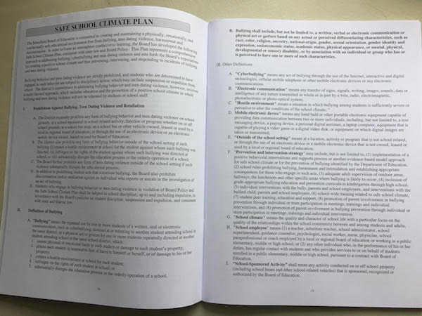 美国小学校长如何应对校园欺凌：制定详细计划，注重情感教育