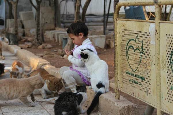 枪林弹雨里的净土！属于猫咪和孩子们的天堂