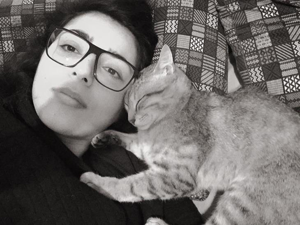 枪林弹雨里的净土！属于猫咪和孩子们的天堂