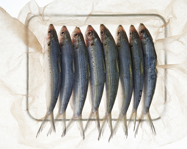 7种比一杯牛奶钙含量更高的食物，拯救乳糖不耐症星人