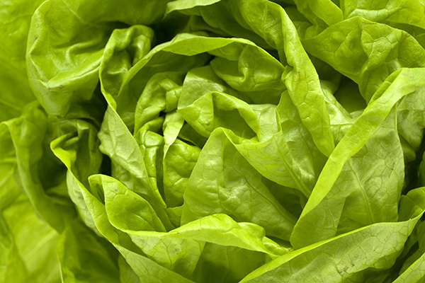 7种比一杯牛奶钙含量更高的食物，拯救乳糖不耐症星人