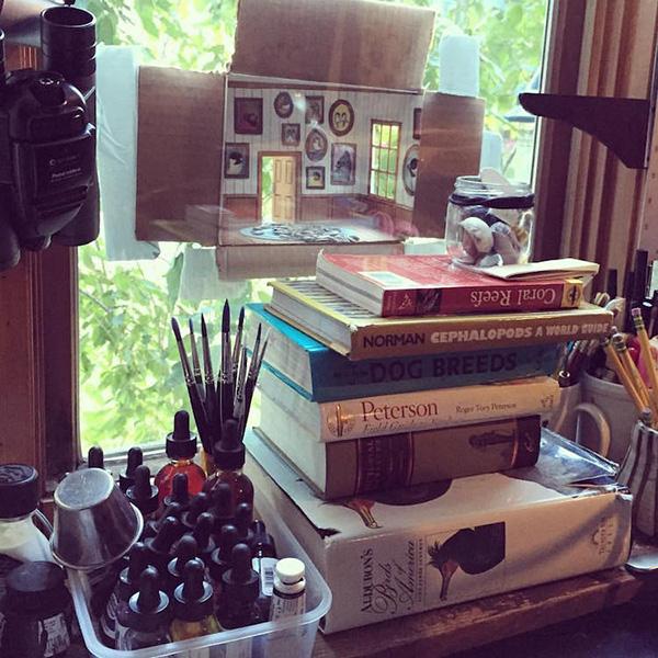 插画家手工制作“五星级鸟舍”，开辟“人不如鸟”系列