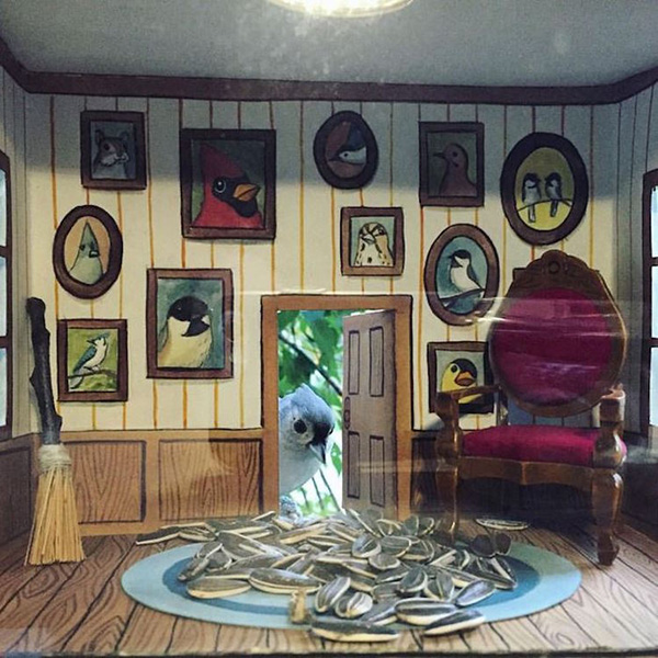 插画家手工制作“五星级鸟舍”，开辟“人不如鸟”系列