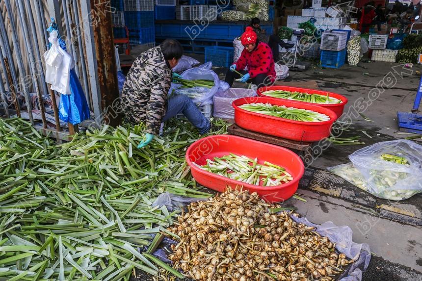 寒潮袭来破零度，农批市场暧洋洋 (3).jpg