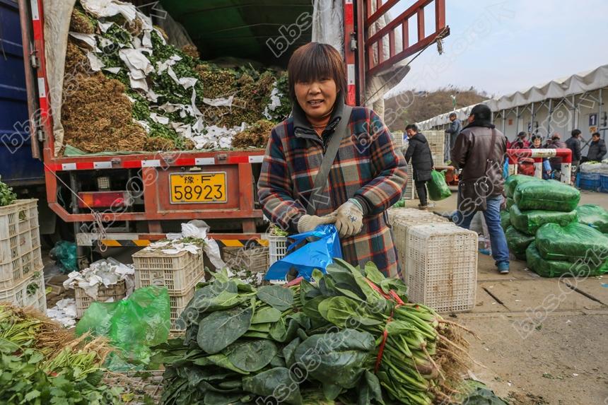 寒潮袭来破零度，农批市场暧洋洋 (5).jpg