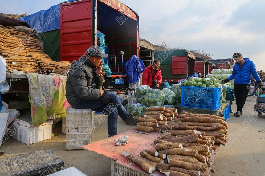 寒潮袭来破零度，农批市场暧洋洋 (7).jpg