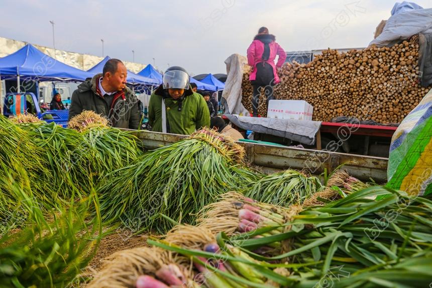寒潮袭来破零度，农批市场暧洋洋 (8).jpg