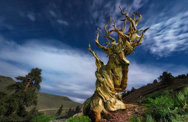 《国家地理》新书呈现令人叹为观止的世界最美风景