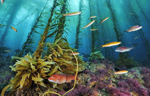 《国家地理》新书呈现令人叹为观止的世界最美风景