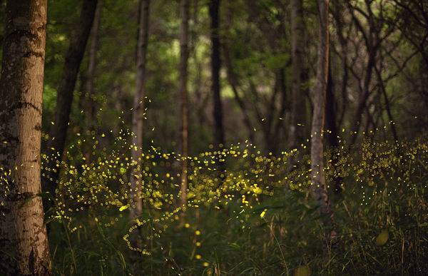 《国家地理》新书呈现令人叹为观止的世界最美风景