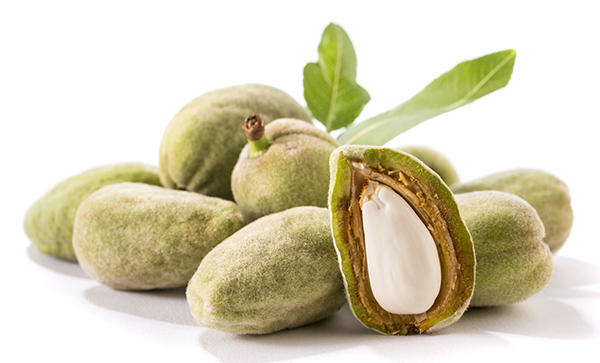 吃苦杏仁会中毒？过量食用会致呼吸麻痹甚至死亡