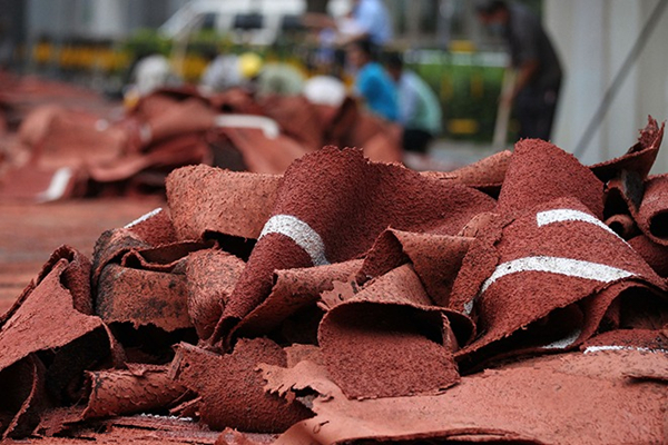 澎湃联播|100张图带你回顾2016年（上）