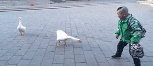 澎湃联播|100张图带你回顾2016年（下）