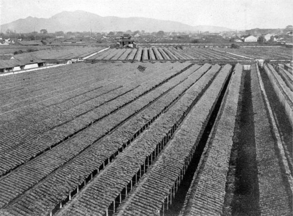 在明清科场中探讨试题算作弊吗？