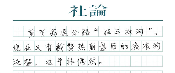 狗无辜，但人要负责