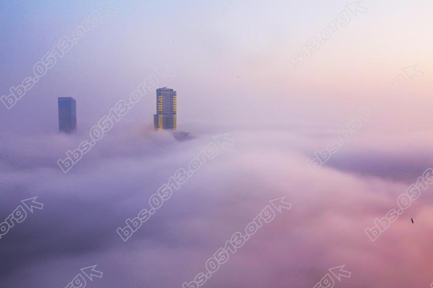 南通大雾 登高云海翻腾日出美 (2).jpg