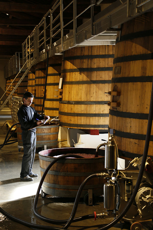 波尔多葡萄成熟时（下）