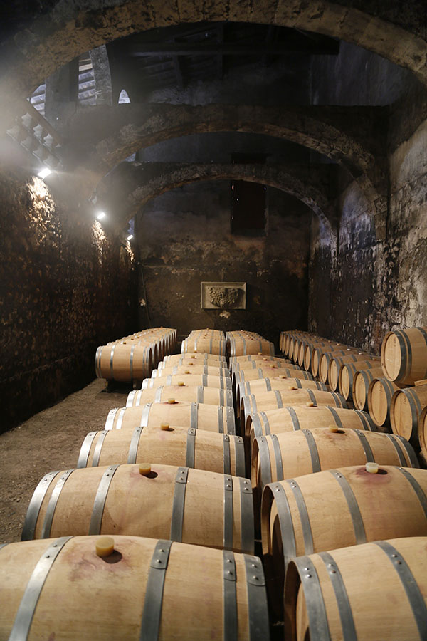 波尔多葡萄成熟时（上）