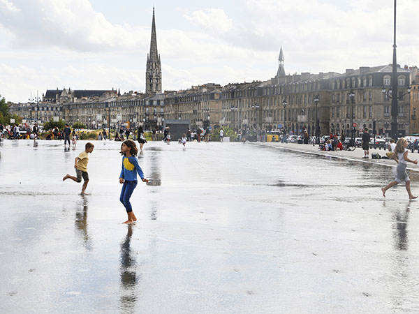 波尔多葡萄成熟时（上）