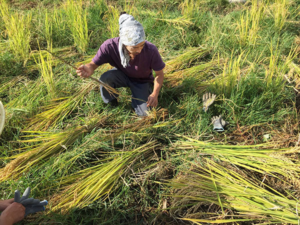 大理民艺地图（上）