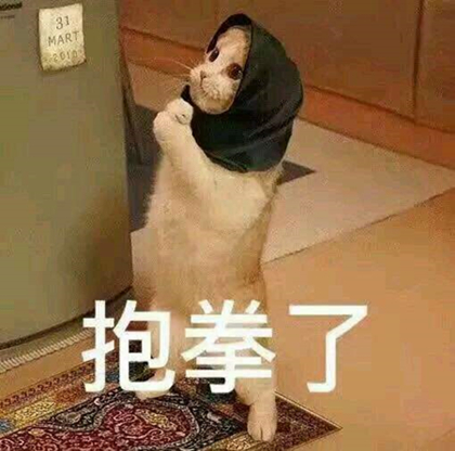 澎湃联播|Master，我是你的面壁者，我叫澎澎