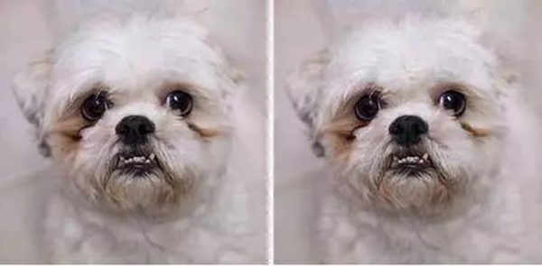 如果有一天人工智能反叛了……那它们有死穴吗？