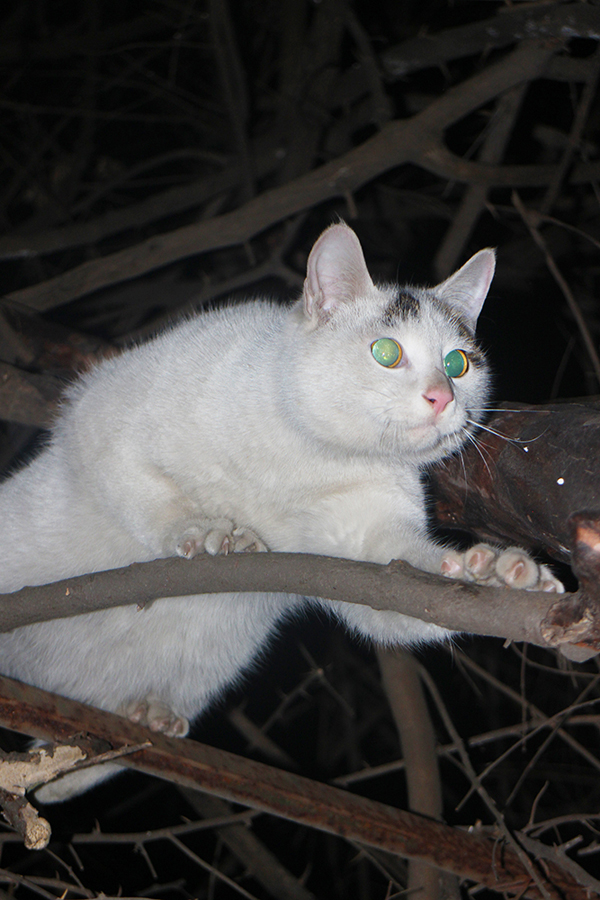 眼光｜二〇一六新锐摄影奖：“给出乎意料又等待已久的作品”