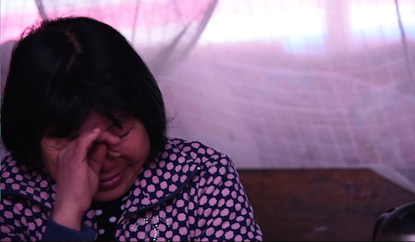 从“越南新娘”到“越南婆”：粤西山村越南女性生存状况调查