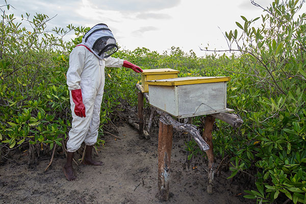 三角洲在早晨醒来（下）