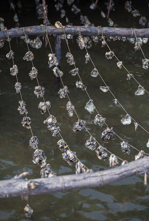 三角洲在早晨醒来（下）